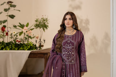 PLUM BLISS - 3PC ORGANZA KURTA SET