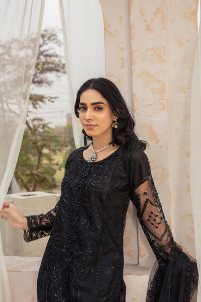 BLACK BEAUTY - 3 PC EMBROIDERED NET